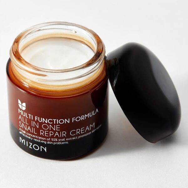 Mizon All In One Snail Repair Cream